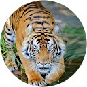 Marc Quin profile picture